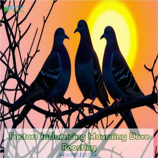 Factors Influencing Mourning Dove Roosting