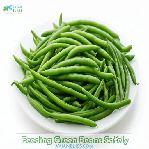 Feeding Green Beans Safely
