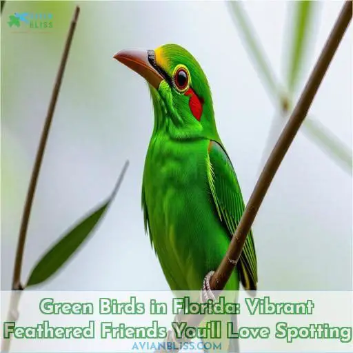 green birds in florida