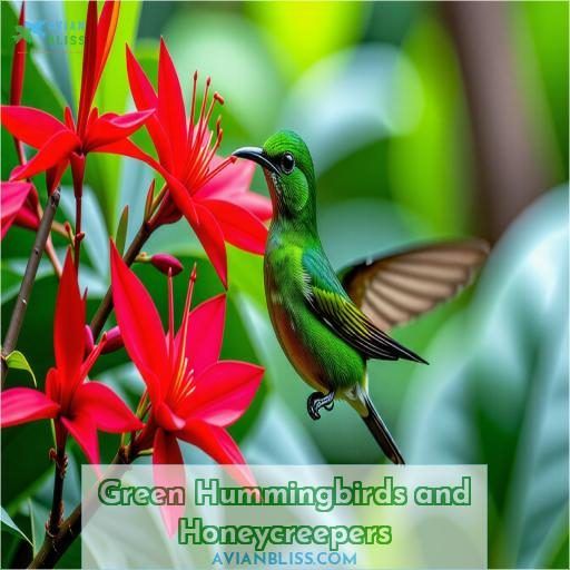 Green Hummingbirds and Honeycreepers