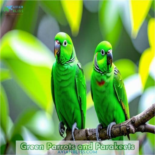 Green Parrots and Parakeets