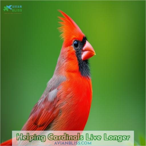 Helping Cardinals Live Longer