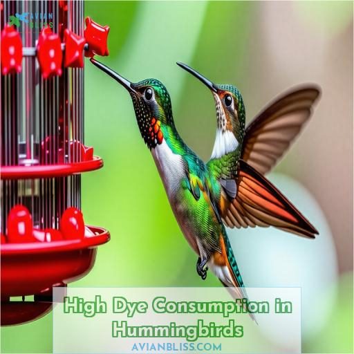 High Dye Consumption in Hummingbirds