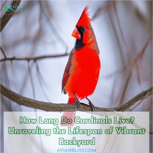 how long do cardinals live