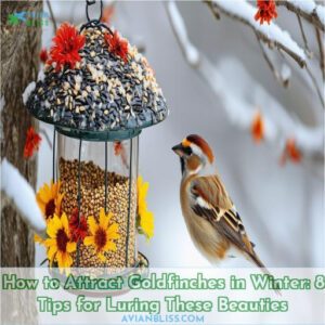 how to attract goldfinches in winter