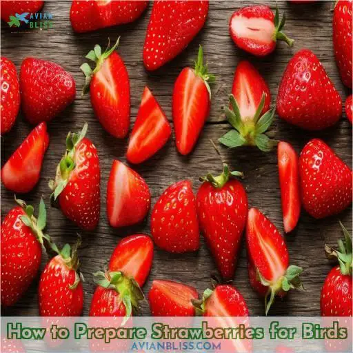 How to Prepare Strawberries for Birds