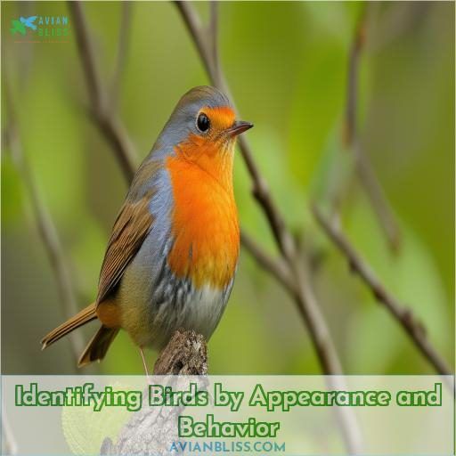 Identifying Birds by Appearance and Behavior