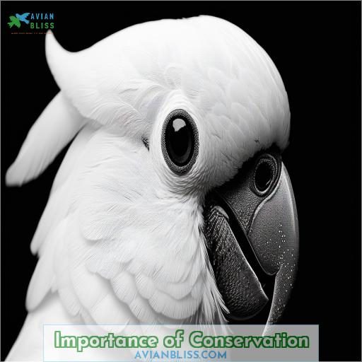 Importance of Conservation