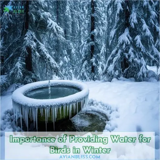 Importance of Providing Water for Birds in Winter