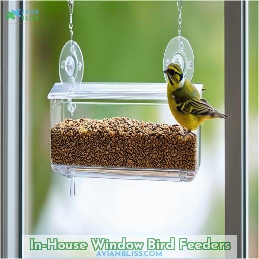 In-House Window Bird Feeders