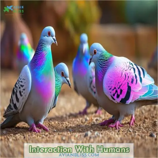 Interaction With Humans