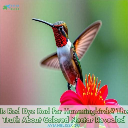 is red dye bad for hummingbirds