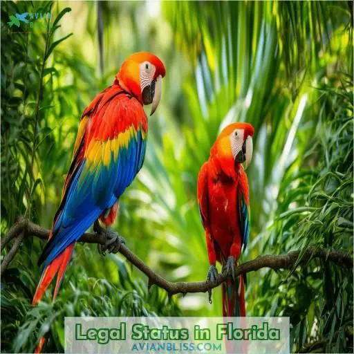 Legal Status in Florida