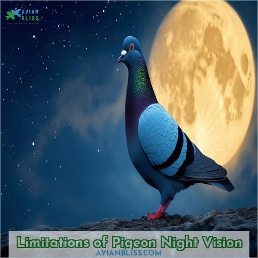 Limitations of Pigeon Night Vision