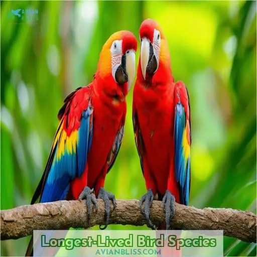 Longest-Lived Bird Species