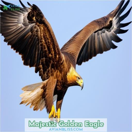 Majestic Golden Eagle