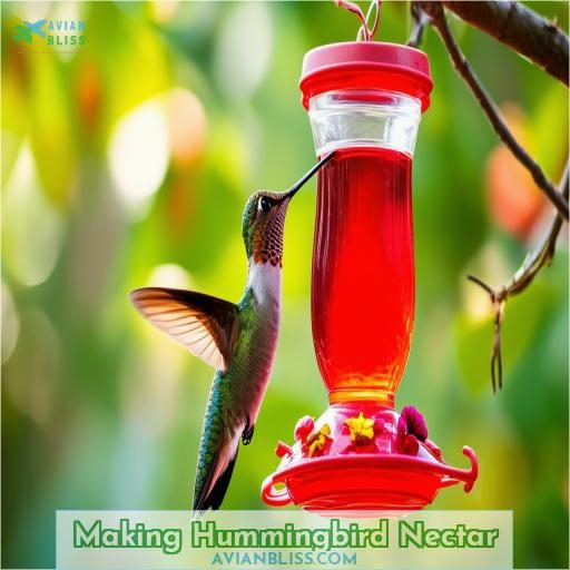 Making Hummingbird Nectar