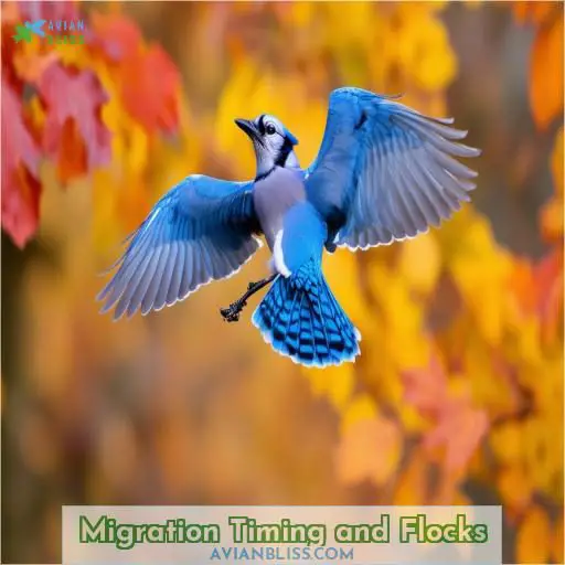 Migration Timing and Flocks
