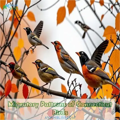 Migratory Patterns of Connecticut Birds