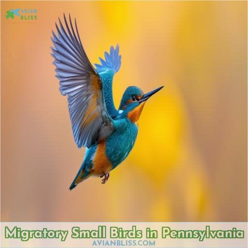 Migratory Small Birds in Pennsylvania