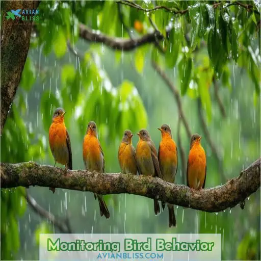 Monitoring Bird Behavior