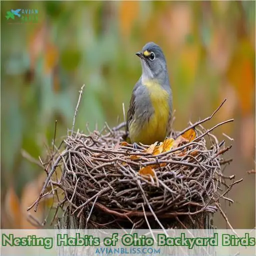 Nesting Habits of Ohio Backyard Birds