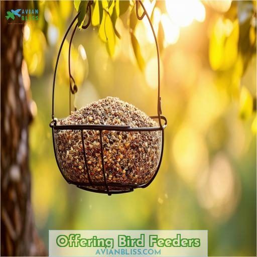 Offering Bird Feeders