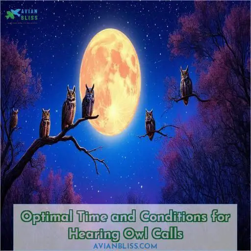 Optimal Time and Conditions for Hearing Owl Calls