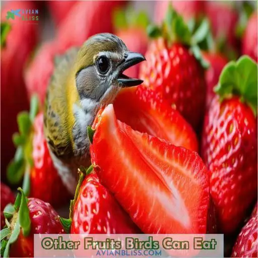 Other Fruits Birds Can Eat