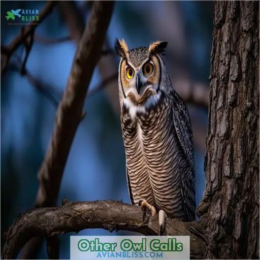 Other Owl Calls