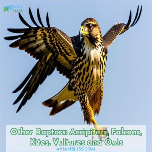 Other Raptors: Accipiters, Falcons, Kites, Vultures and Owls