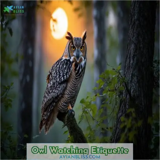 Owl Watching Etiquette
