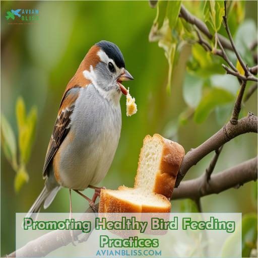 Promoting Healthy Bird Feeding Practices