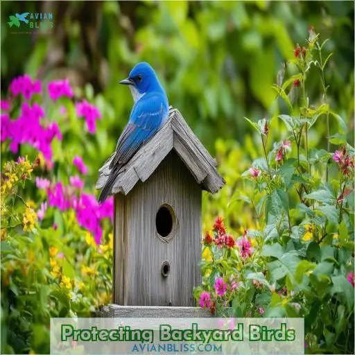 Protecting Backyard Birds