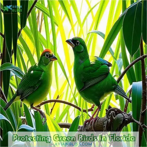 Protecting Green Birds in Florida