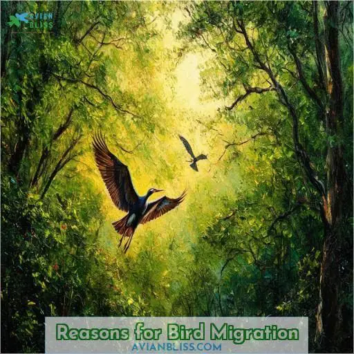 Reasons for Bird Migration