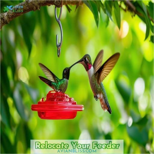 Relocate Your Feeder