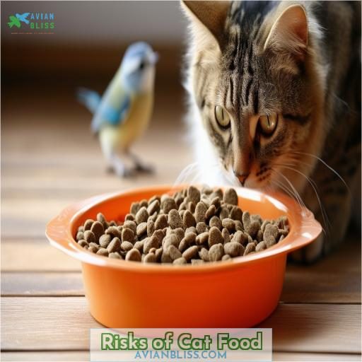 Risks of Cat Food