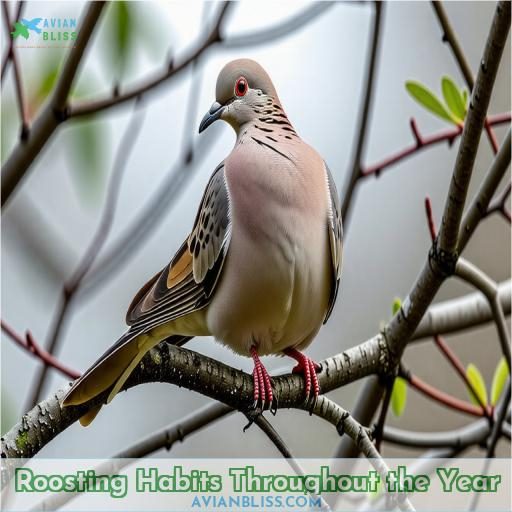 Roosting Habits Throughout the Year