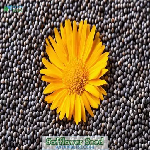 Safflower Seed