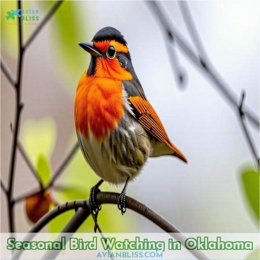 Seasonal Bird Watching in Oklahoma