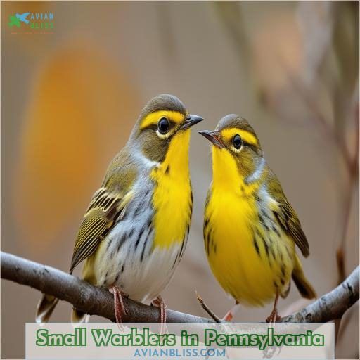 Small Warblers in Pennsylvania