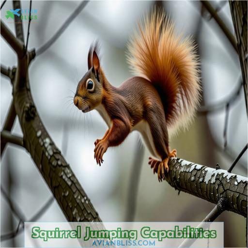 Squirrel Jumping Capabilities