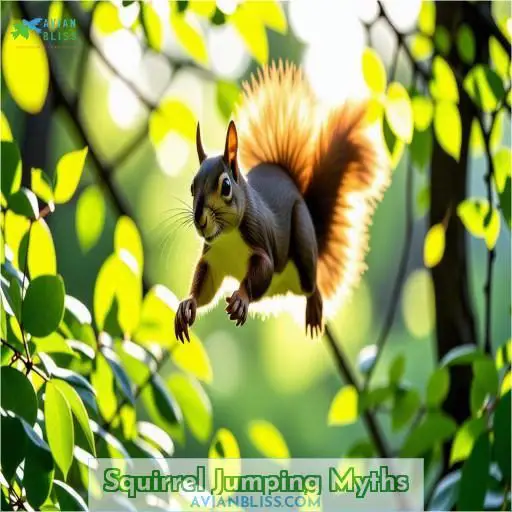 Squirrel Jumping Myths