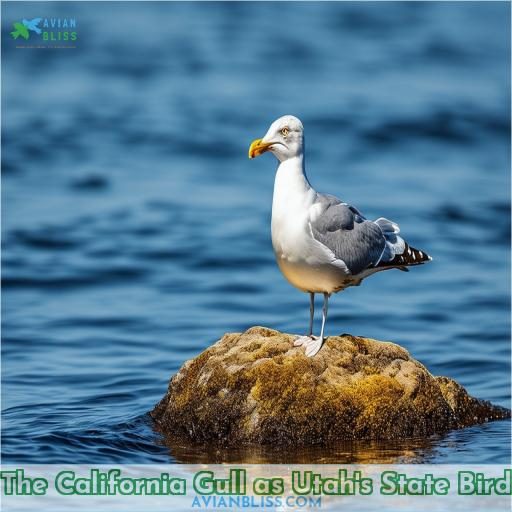 The California Gull as Utah