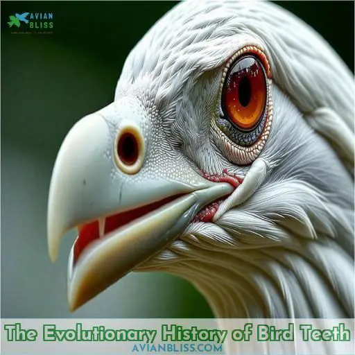 The Evolutionary History of Bird Teeth