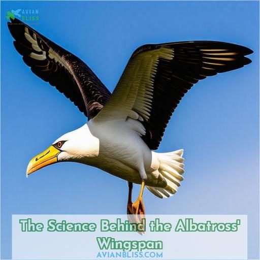 The Science Behind the Albatross