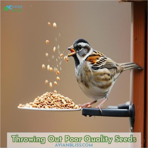 Why Do Birds Throw Seed Out of the Feeder 10 Common Reasons and Solutions