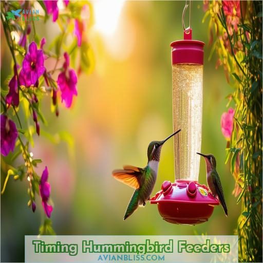 Timing Hummingbird Feeders