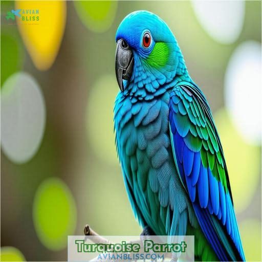 Turquoise Parrot